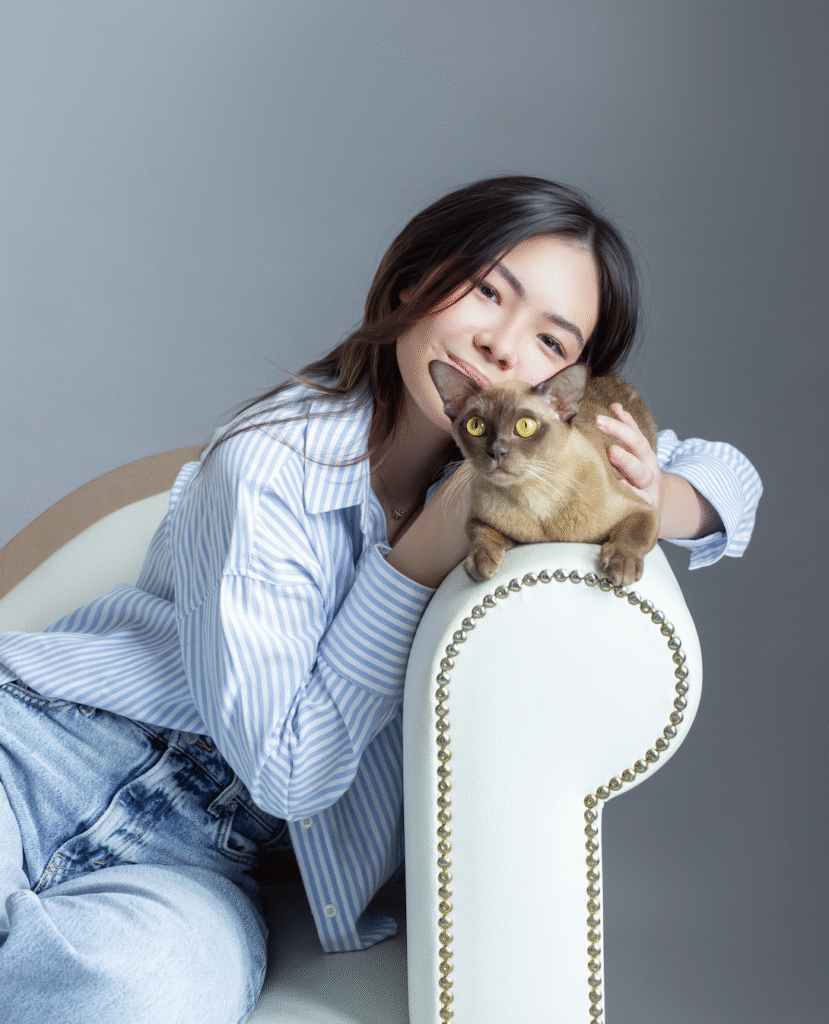 What to prepare at home before your kitten arrives